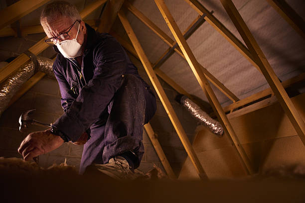 Best Specialized Insulation Services in North College Hill, OH